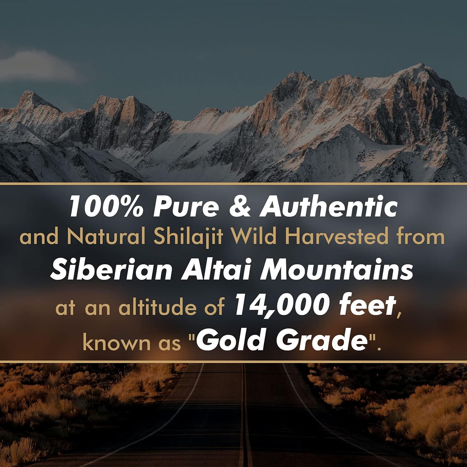 純粋なシラジット樹脂（フルボ酸、微量ミネラル、85種類以上の - Shilajit Resin Pure のレビューと価格