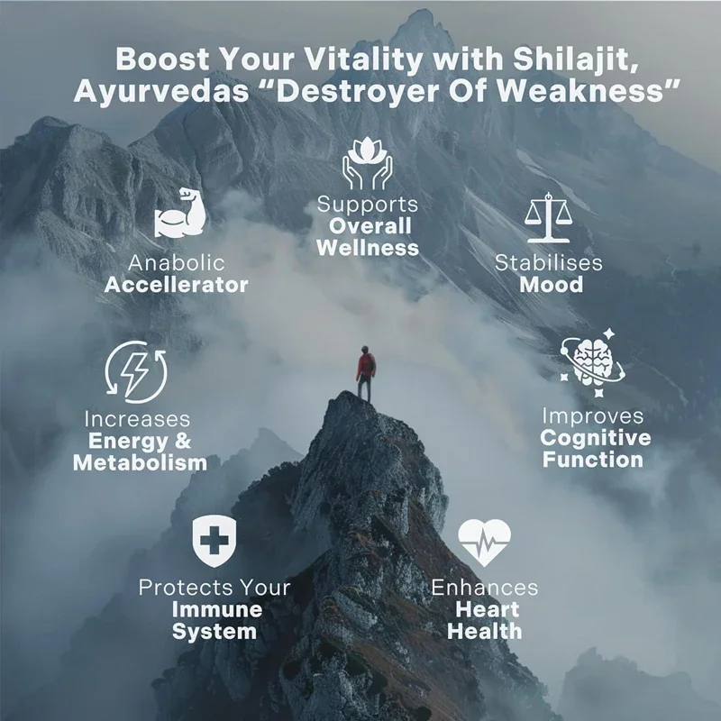 純ヒマラヤ産シラジット樹脂エキス 1000mg、85種類以上 - Shilajit Resin Pure のレビューと価格